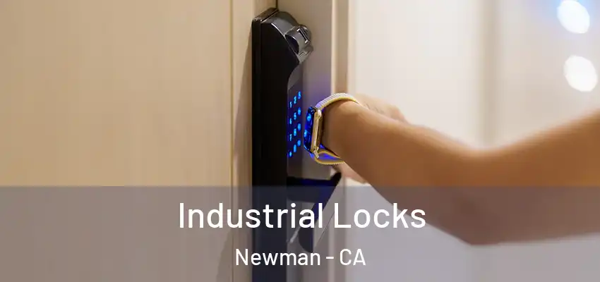  Industrial Locks Newman - CA